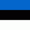 the Estonian Flag
