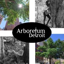 Arboretum Detroit logo