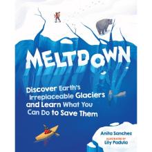 Cover of Meltdown